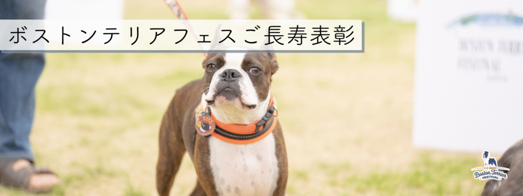 ご長寿表彰2025-10-26