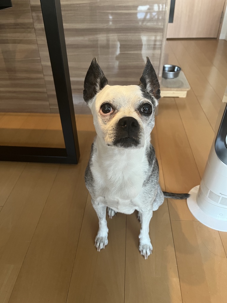 マンデーちゃん