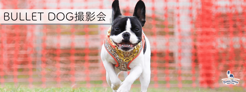 BULLET DOG撮影会