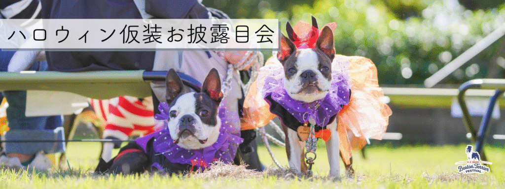 ハロウィン仮装お披露目会