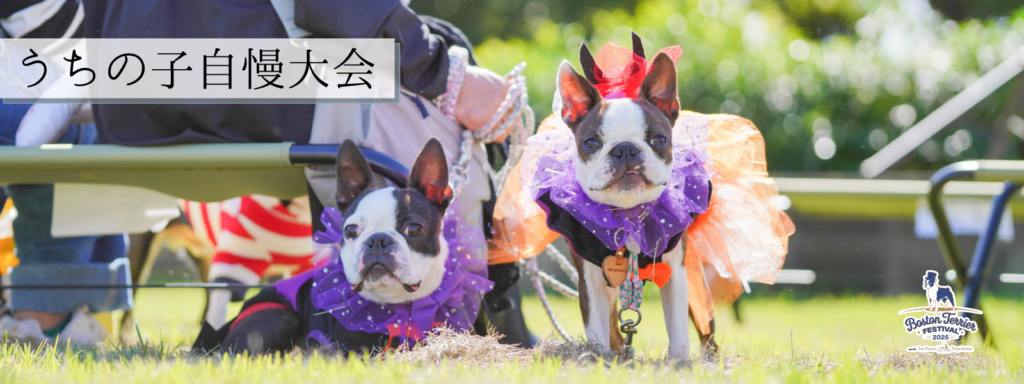 うちの子自慢大会