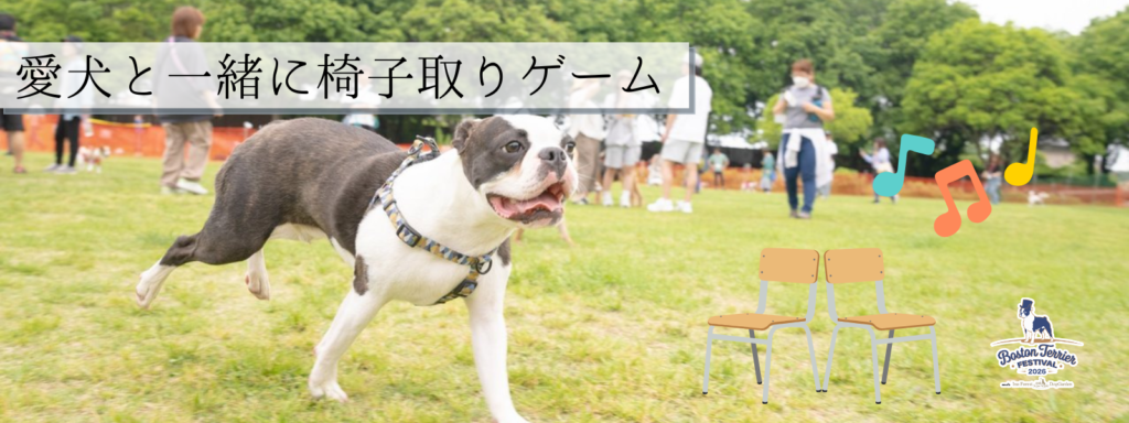 愛犬と一緒に椅子取りゲーム
