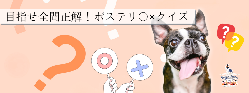 目指せ全問正解!ボステリ〇✕クイズ
