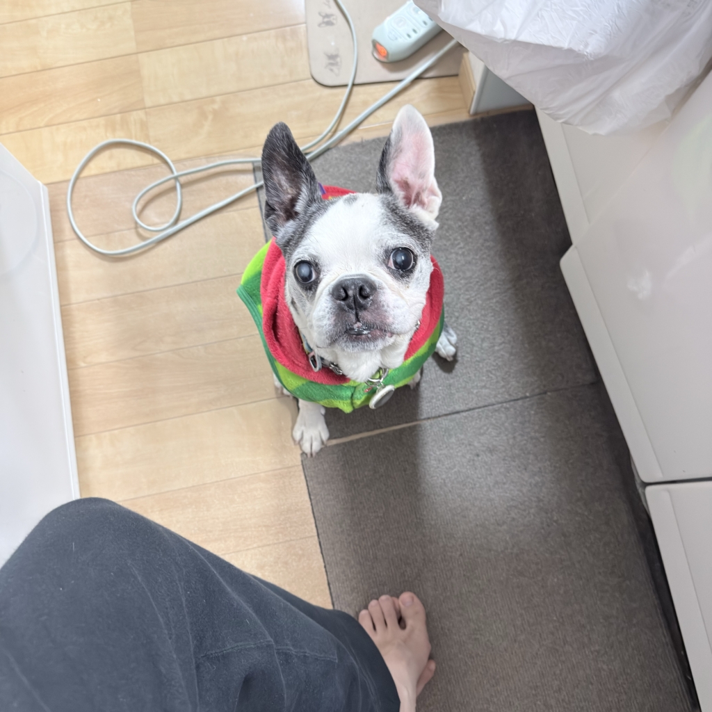 奇跡くん