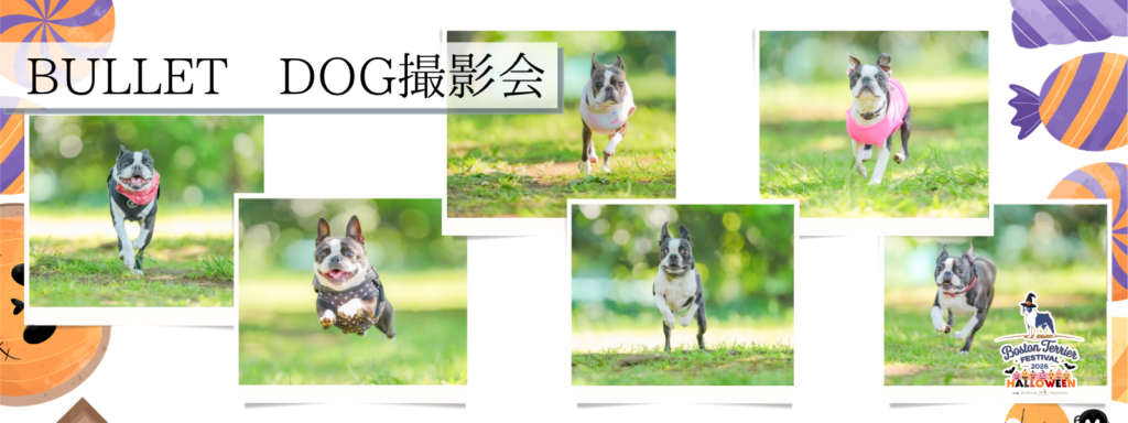 BULLET DOG撮影会