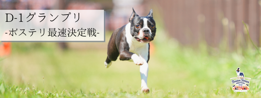 D-1グランプリ -ボステリ最速決定戦-