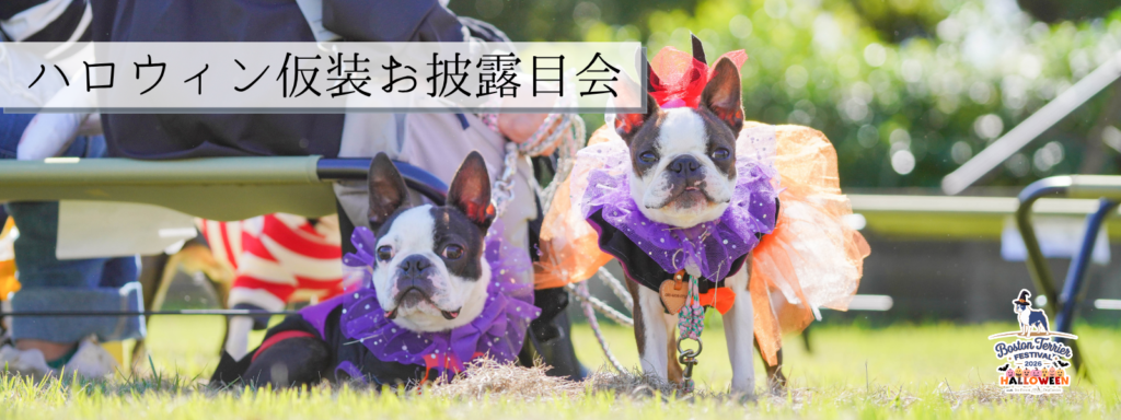 ハロウィン仮装お披露目会
