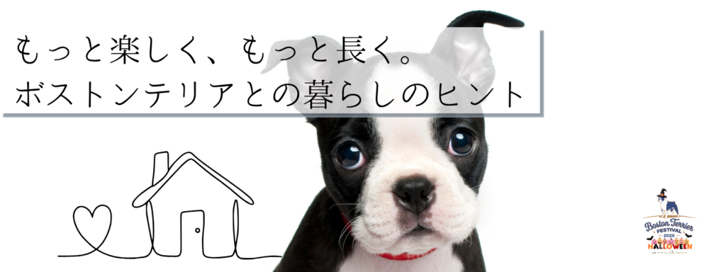 もっと楽しく、もっと長く。ボストンテリアとの暮らしのヒント
